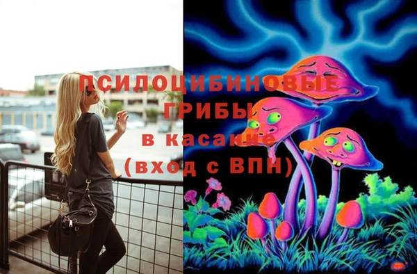 каннабис Каменногорск