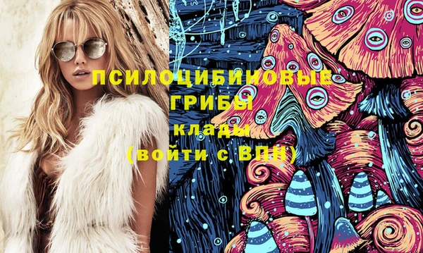 каннабис Каменногорск