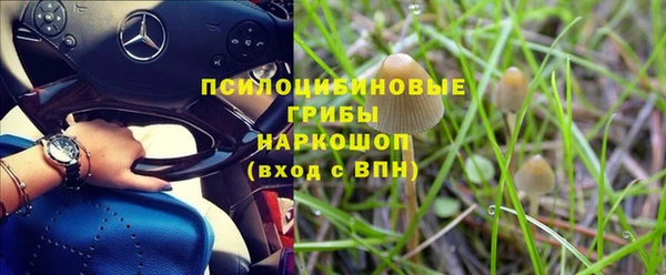 каннабис Каменногорск