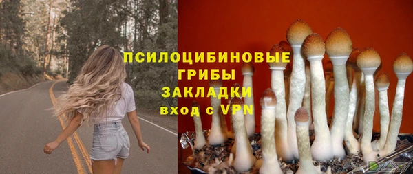 гашишное масло Каменка