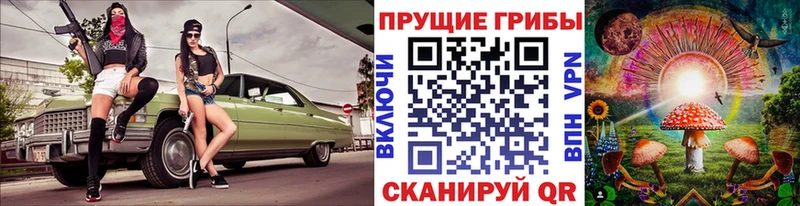 Купить где  Боровск  Галлюциногенные грибы GOLDEN TEACHER 